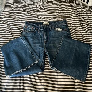 $10 denim Madewell Flea Market Flair size 29
